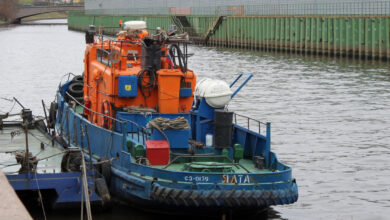 Photo of Ялта: культурные мероприятия