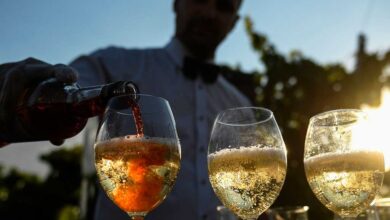 Photo of Винные туры по Крыму