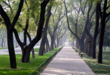 Photo of Ялта: красивейшие сады и парки