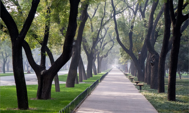 Photo of Ялта: красивейшие сады и парки