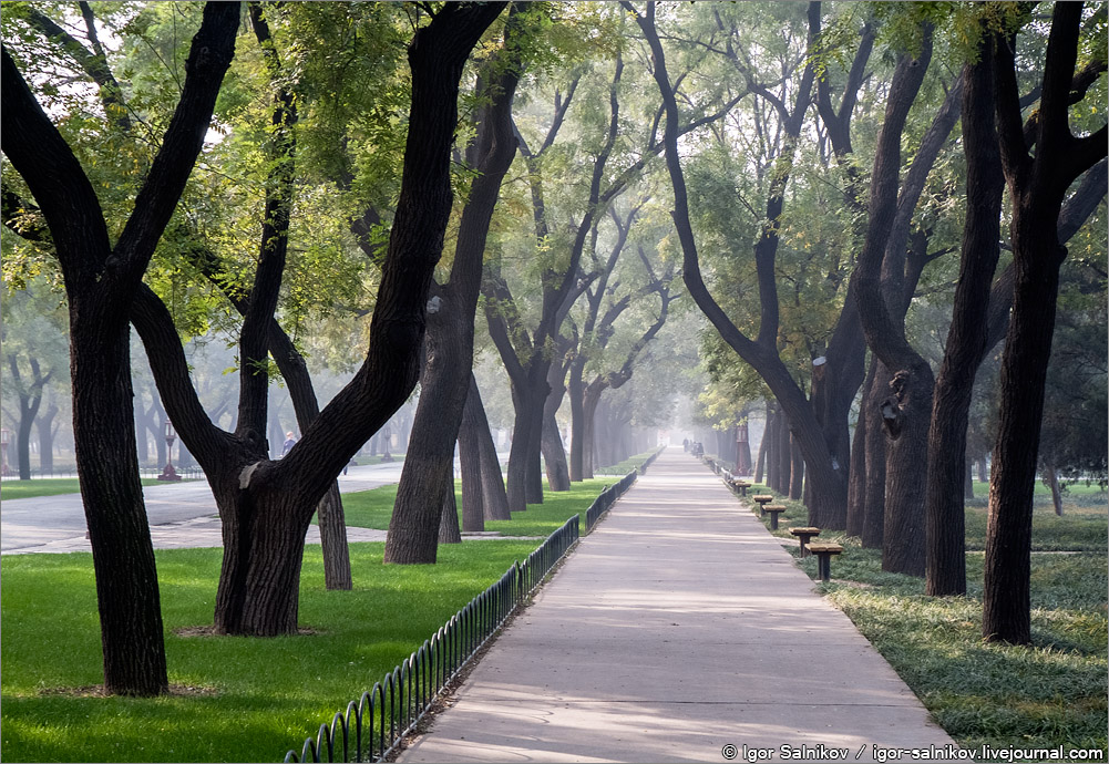 Фото 1 — Ялта: красивейшие сады и парки