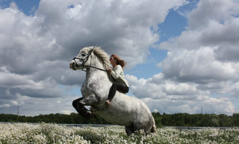 Photo of Крым: катание на лошадях по горам