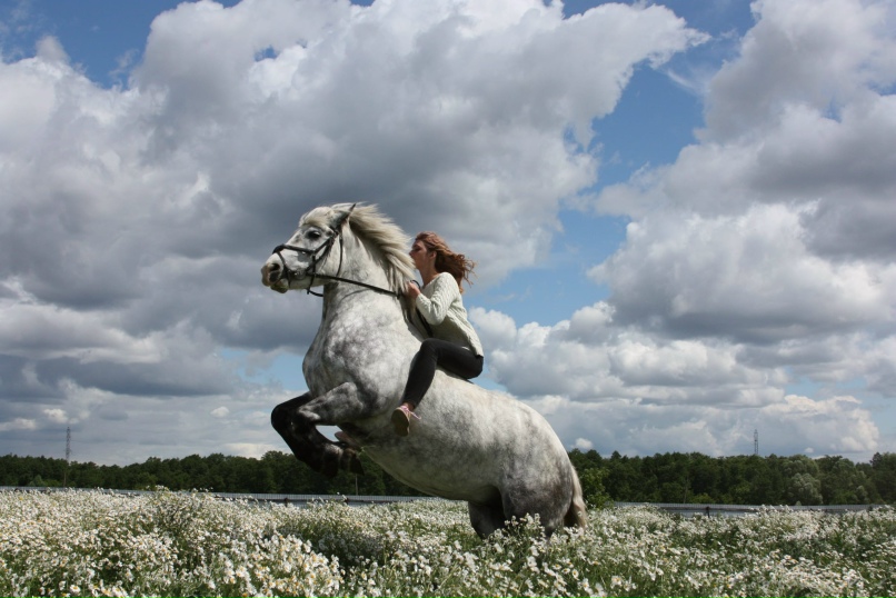 Фото 12 — Крым: катание на лошадях по горам