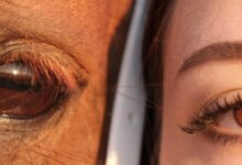 Photo of Крым: фотосессии на фоне красивых пейзажей