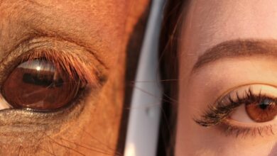 Photo of Крым: фотосессии на фоне красивых пейзажей