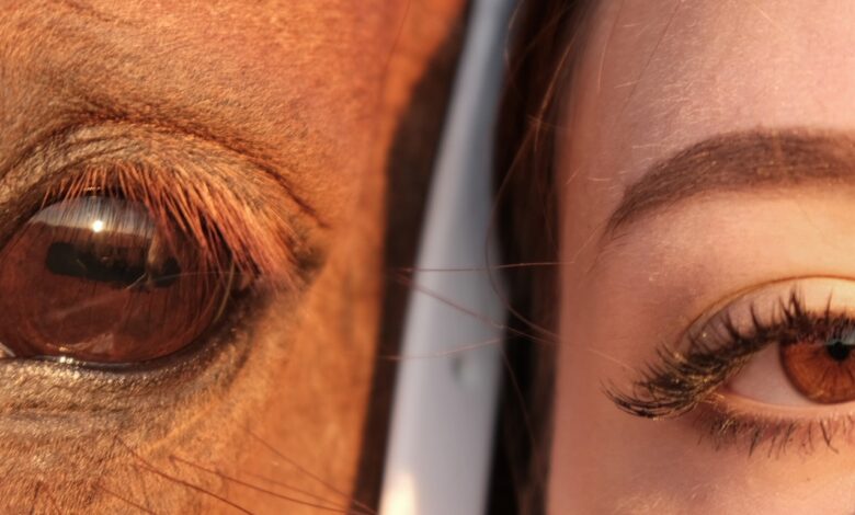 Photo of Крым: фотосессии на фоне красивых пейзажей