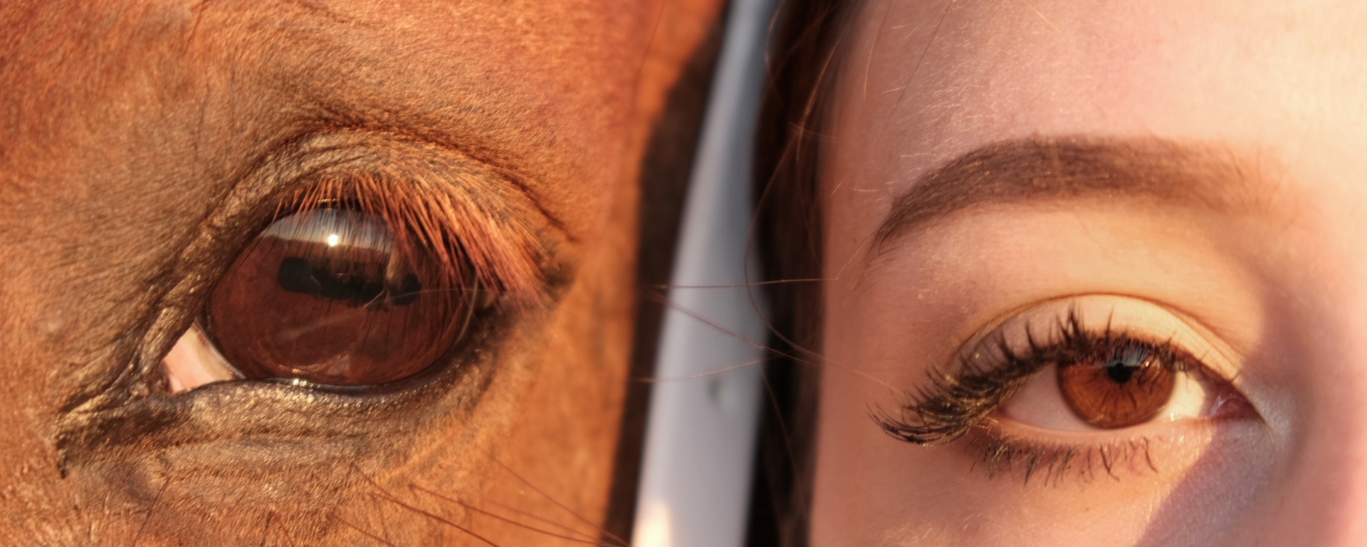 Фото 36 — Крым: фотосессии на фоне красивых пейзажей