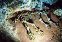 Photo of Экскурсии на велосипедах по Крыму