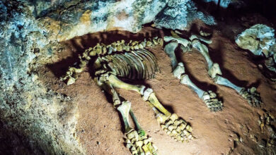 Photo of Экскурсии на велосипедах по Крыму