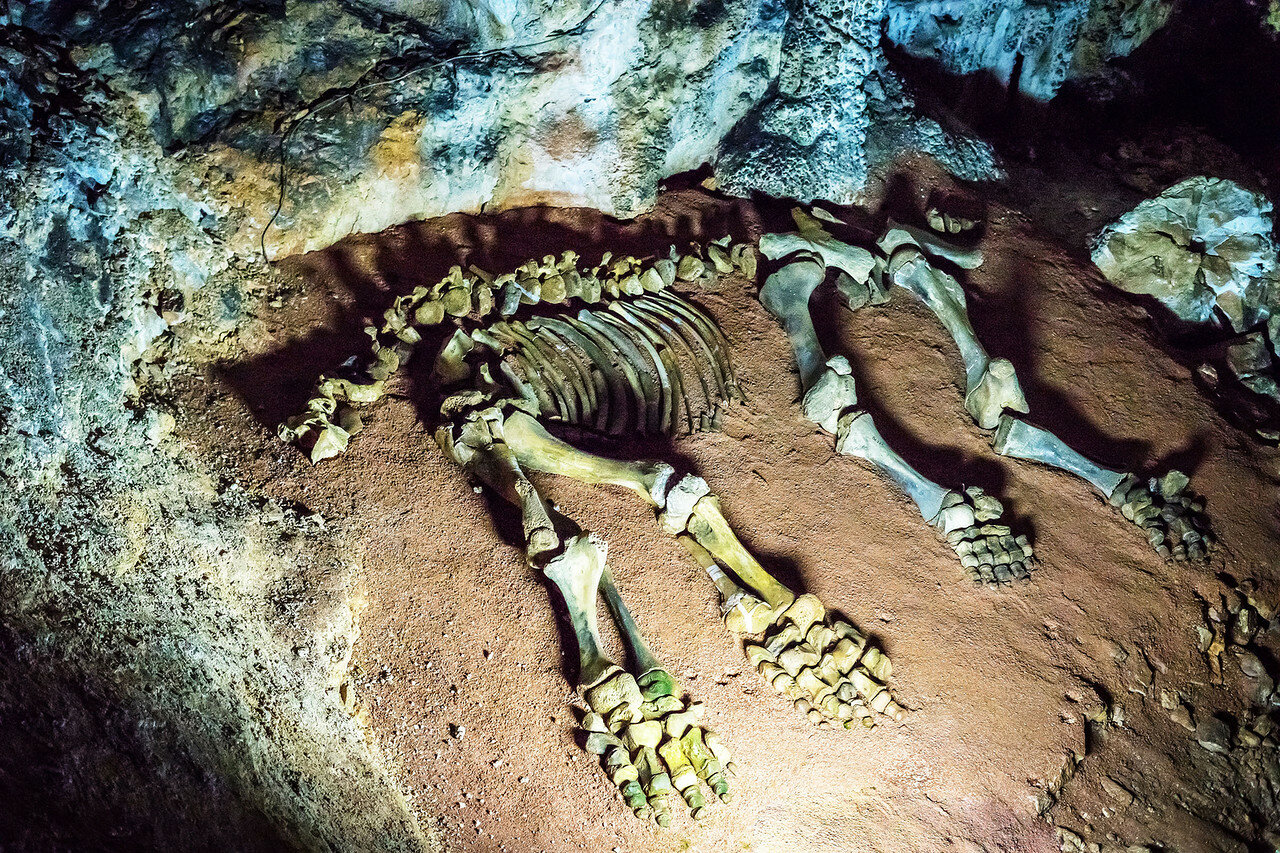 Фото 20 — Экскурсии на велосипедах по Крыму