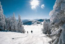 Photo of Горнолыжный отдых в Альпах